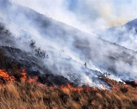 En Lo Que Va Del Año Más De Mil Incendios Forestales En El País