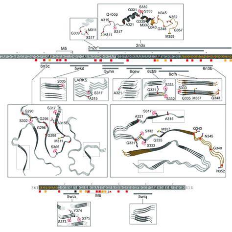 Structures Of The C Terminal Domain Structures Shown With Mutation