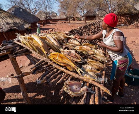 Zimbabwe Village Hi Res Stock Photography And Images Alamy