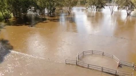 Maribyrnong River Flemington Flood Wall Review Opens Herald Sun