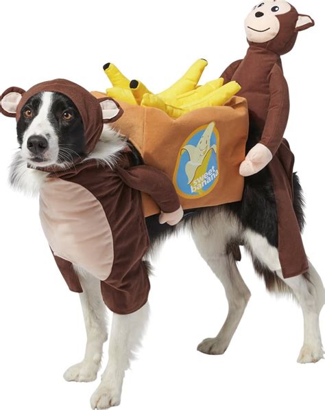 Best Dog Costumes for Large, Medium and Small Dogs | PS Pets