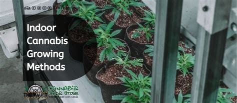 Indoor Cannabis Growing Methods