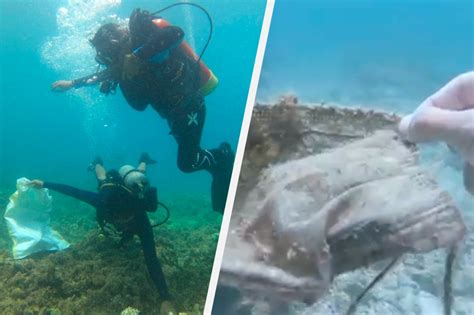 Halos 600 kilo ng basura, nakolekta sa ilalim ng dagat sa Batangas ...