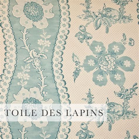 TOILE DES LAPINS BLUE1