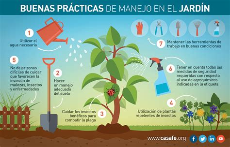 Buenas Prácticas Agrícolas En Tu Jardín Y En Tu Huerta Casafe