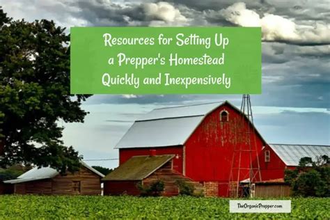 Setting Up a Prepper's Homestead - The Organic Prepper