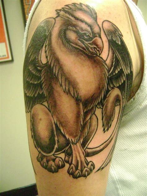 Great griffin pictures - Tattooimages.biz