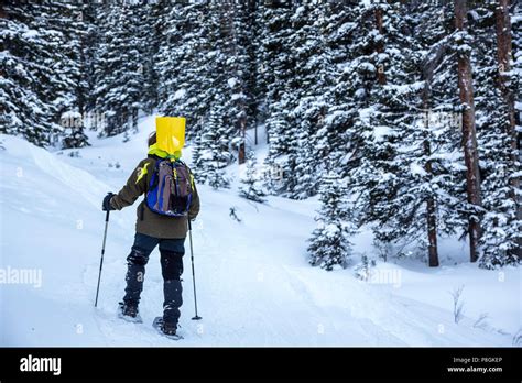 Snowshoer hiking near Loveland Pass, Colorado USA Stock Photo - Alamy