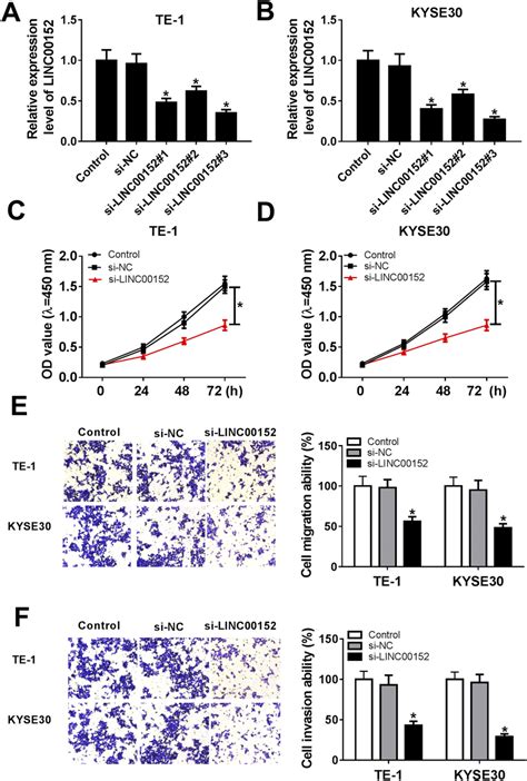 LINC00152 Knockdown Affected Cell Proliferation Ability Migration