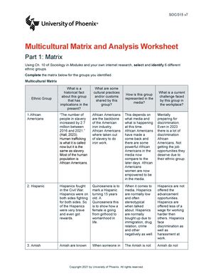 SOLUTION B432 Multicultural Matrix And Analysis Worksheet Studypool