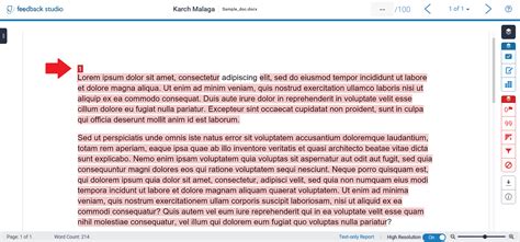 View Turnitin Reports