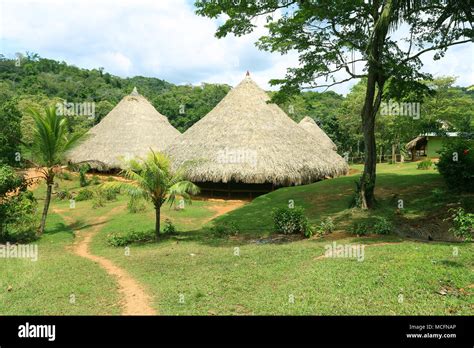 Una Auténtica Cabaña De Paja En El Territorio Indígena En Panamá Fotografía De Stock Alamy