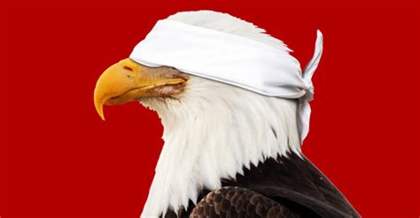 Bald Eagle In Denial Blank Template Imgflip