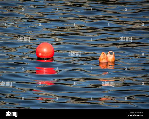 Small Water Buoys Floating In The River Lagan Belfast Stock Photo Alamy