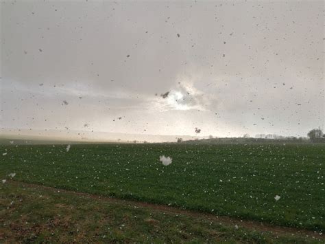 Captured this scenery in our backyard during a snowstorm : r/pics