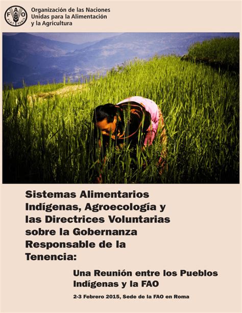 Sistemas Alimentarios Ind Genas Agroecolog A Y Las Directrices