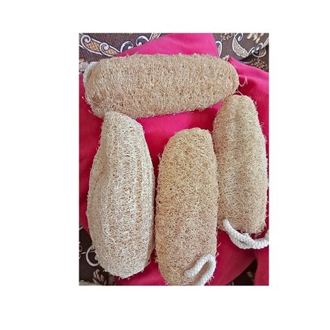 Natural Loofah Sponge Etsy