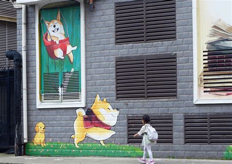 Pet Friendly Community Adorned With Cat And Dog Murals Cgtn