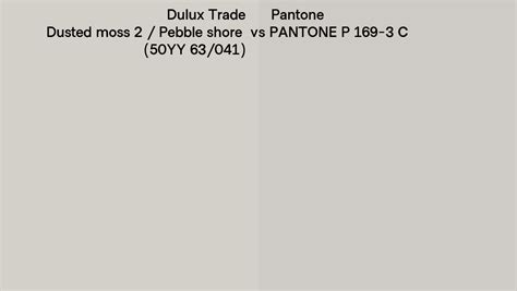 Dulux Trade Dusted Moss 2 Pebble Shore 50YY 63 041 Vs Pantone P 169