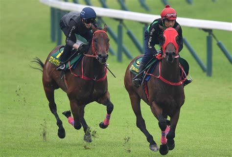 【安田記念・火曜追い切り】〝香港最強馬〟ロマンチックウォリアー圧巻追い「この環境をエンジョイしている」東スポ競馬 Goo ニュース