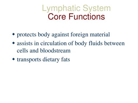 Ppt Functional Anatomy Of Lymphatic System Powerpoint Presentation