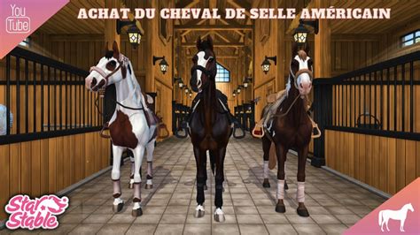 Star Stable Achat Du Cheval De Selle Americain American Saddlebred