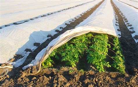 Crop Covers How And When To Use Them Blog Posts Vitatex