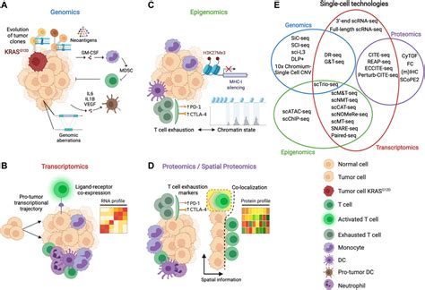 Frontiers Breaking The Immune Complexity Of The Tumor