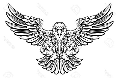 Hawk Vector at Vectorified.com | Collection of Hawk Vector free for ...