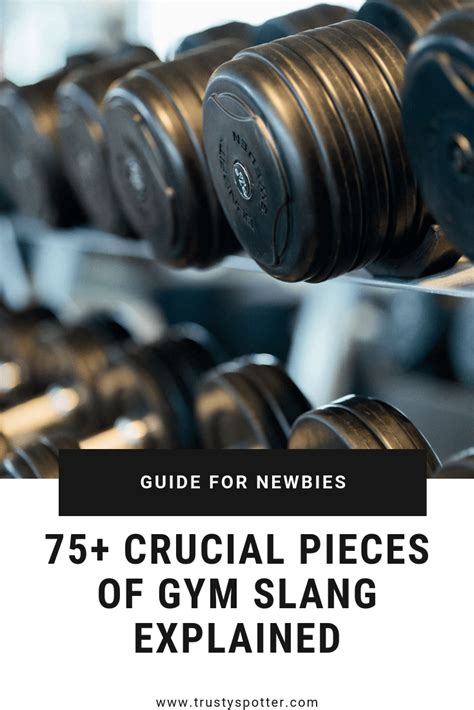 75 Crucial Pieces Of Gym Slang Terminology And Lingo Explained Trusty