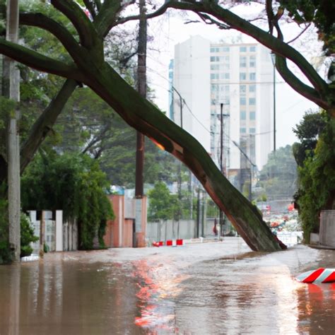 Cidade De São Paulo Em Alerta Devido à Queda De árvores E Riscos De