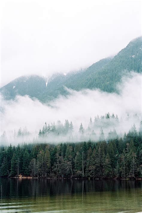 «Foggy Mountain Lake Scene» del colaborador de Stocksy «Daniel Kim ...