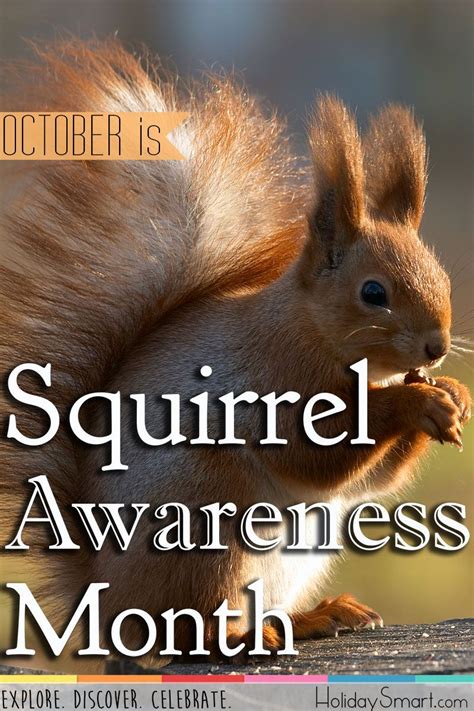 October Is Squirrel Awareness Month Awareness Month Awareness Months