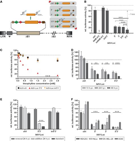 Figure 3 From Synthetic Riboswitches For External Regulation Of Genes