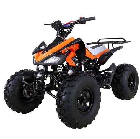 Buy Tao Tao 125 Atv Ata 125 Cheetah Online At