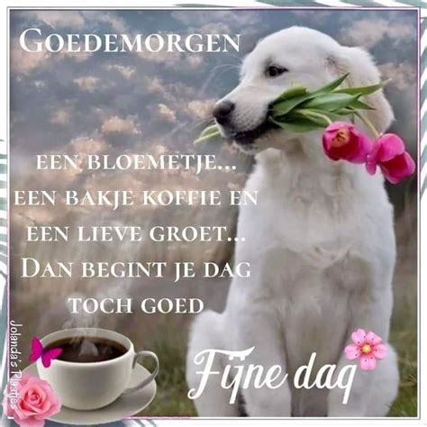 Pin Van Nettie T Hal Op Vriendjes Fijne Dag Goedemorgen Citaat