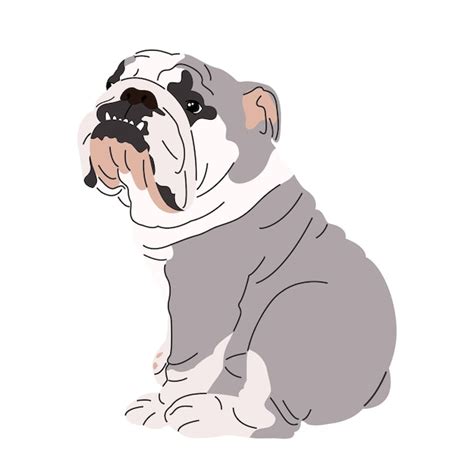 Premium Vector English Bulldog Cartoon Puppy