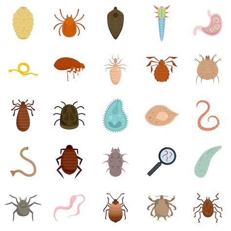 Premium Vector Parasite Icons Set Flat Set Of Parasite Vector Icons