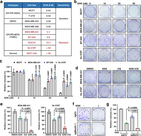 Autophagy Inhibition Sensitizes Breast Cancer Cells To PRMT5