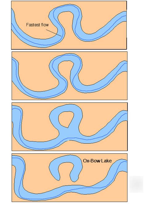 Formation Of Ox Bow Lakes Diagram Quizlet