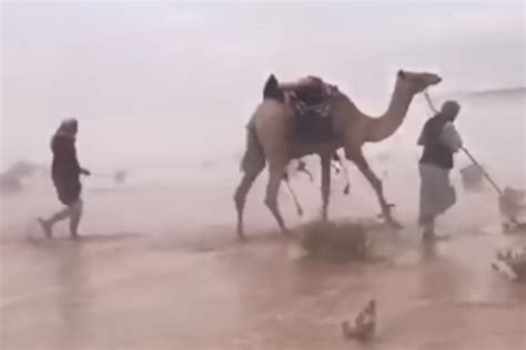 Video Reportan Inesperadas Inundaciones En El Desierto De Arabia