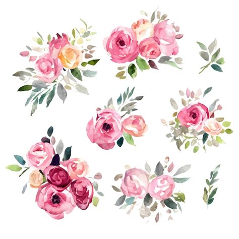 Conjunto De Rosas Retro Flores De Acuarela Que Pintan Ilustraciones