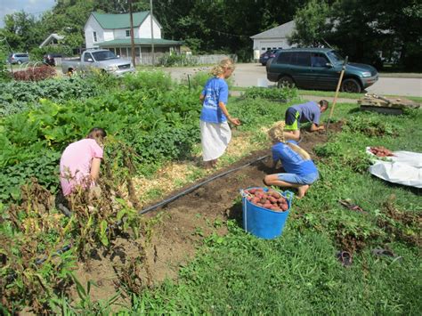 Berea Urban Farm | Sustainable Berea