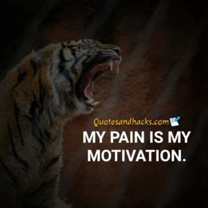 Best Tiger Quotes