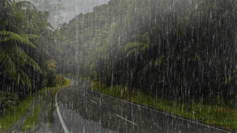 Sonido De Lluvia Cayendo En El Camino Tranquilo Ruido Blanco Perfecto