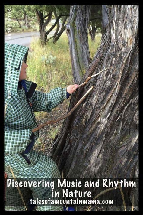 Discovering Music and Rhythm in Nature - Tales of a Mountain Mama