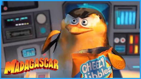 Dreamworks Madagascar Dibble Me Penguins Of Madagascar Clip Youtube