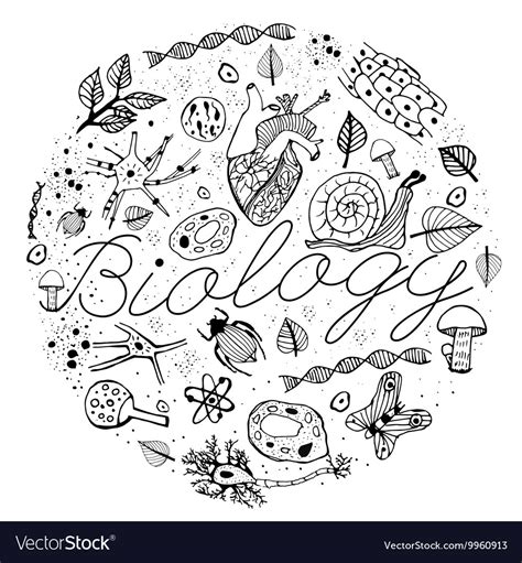 Biology Doodles Royalty Free Vector Image Vectorstock