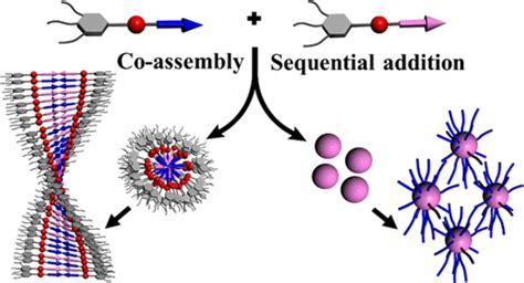 Pathway Complexity In Supramolecular Copolymerization And Blocky Star