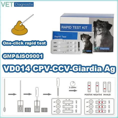 Cpv Ccv Giardia Rapid Test Kit Canine Parvo Virus Corona Virus